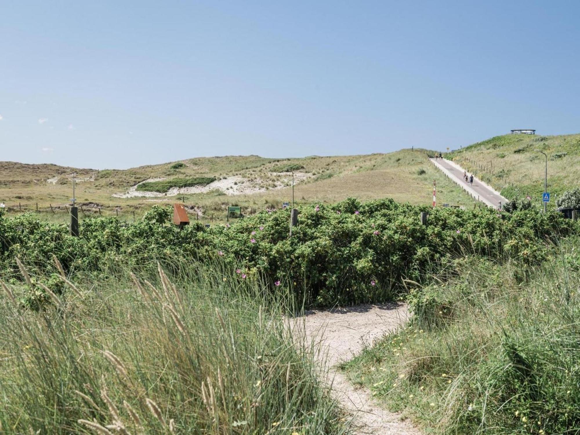 Seaside Double Duyn Suites Callantsoog Dış mekan fotoğraf
